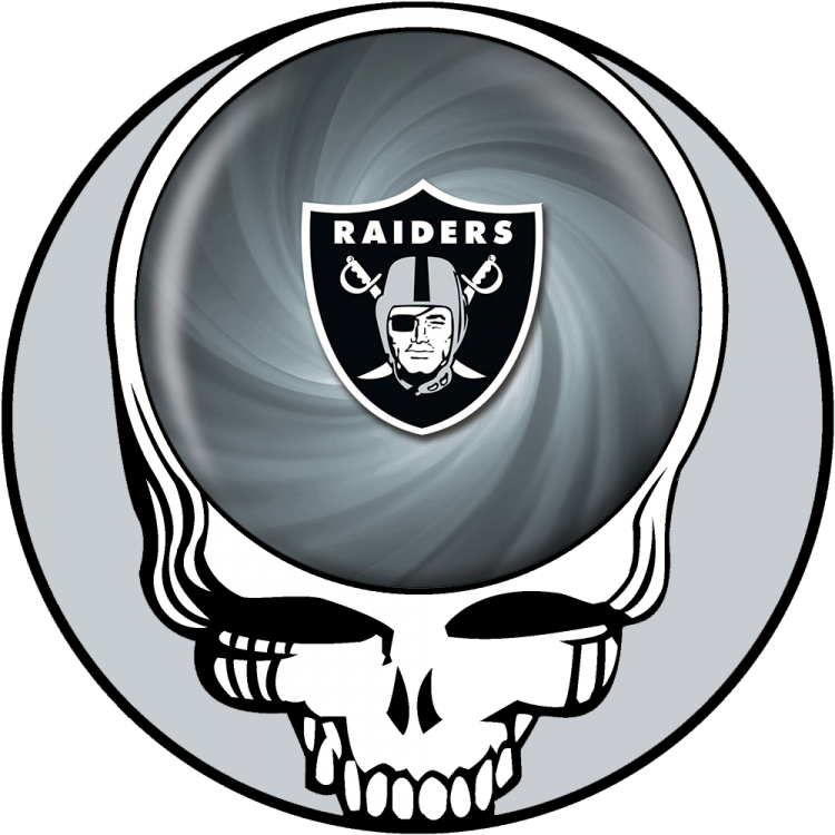 Oakland Raiders skull logo fabric transfer